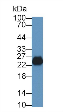 8865