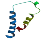 G Protein Coupled Receptor 132 (GPR132) G Protein Coupled Receptor 132 (GPR132)