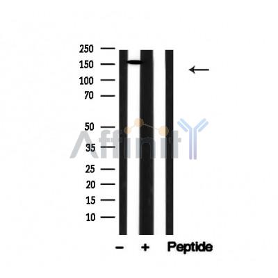 Валидация Affinity AF4724 - 2341