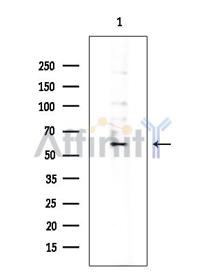 Валидация Affinity DF3571 - 14523