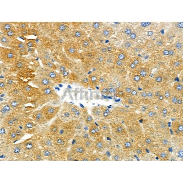 Валидация Affinity DF4722 - 16419