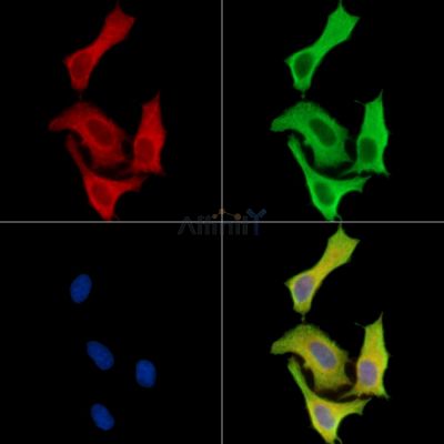 Валидация Affinity DF15760 - 12235