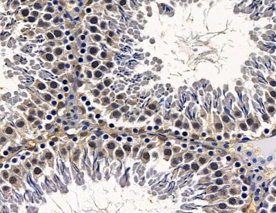 Валидация Affinity DF13941 - 9688