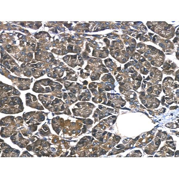 Валидация Affinity AF5230 - 2707