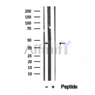 Валидация Affinity DF12345 - 6777