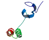 Interferon Induced Transmembrane Protein 2 (IFITM2) Interferon Induced Transmembrane Protein 2 (IFITM2)
