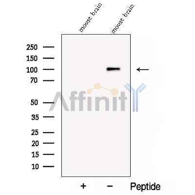 Валидация Affinity DF12908 - 7658