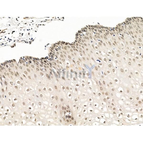 Валидация Affinity DF13683 - 9273