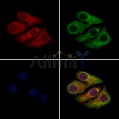 Валидация Affinity DF13478 - 8843