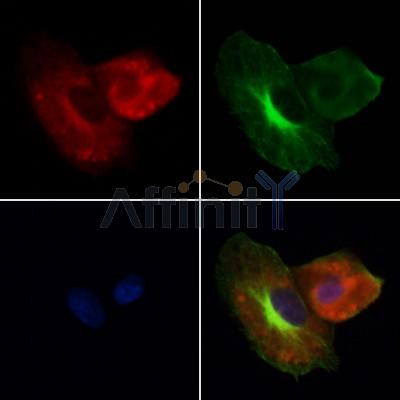 Валидация Affinity DF12880 - 7620