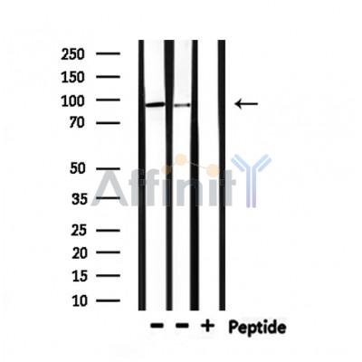Валидация Affinity DF6518 - 17932
