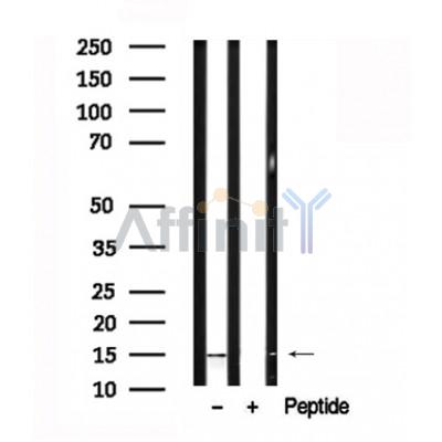 Валидация Affinity AF7645 - 4321