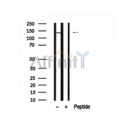 Валидация Affinity AF7682 - 4367