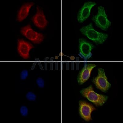 Валидация Affinity DF13436 - 8757