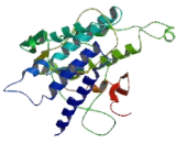 Neuropeptide FF Receptor 1 (NPFFR1) Neuropeptide FF Receptor 1 (NPFFR1)