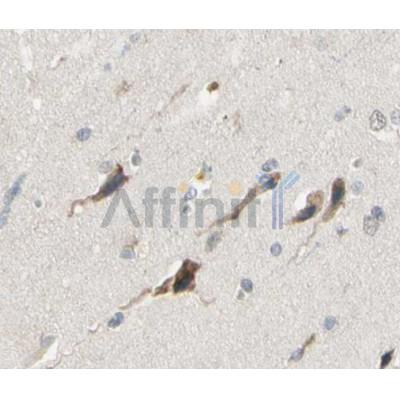 Валидация Affinity AF5123 - 2493