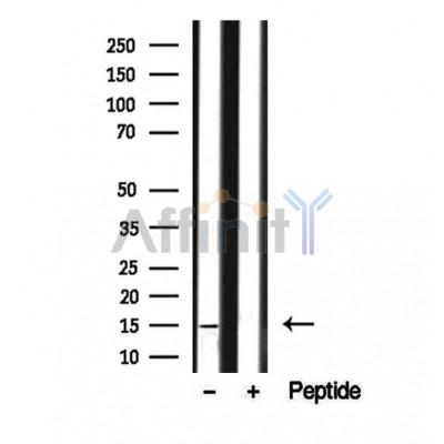 Валидация Affinity DF12230 - 6522