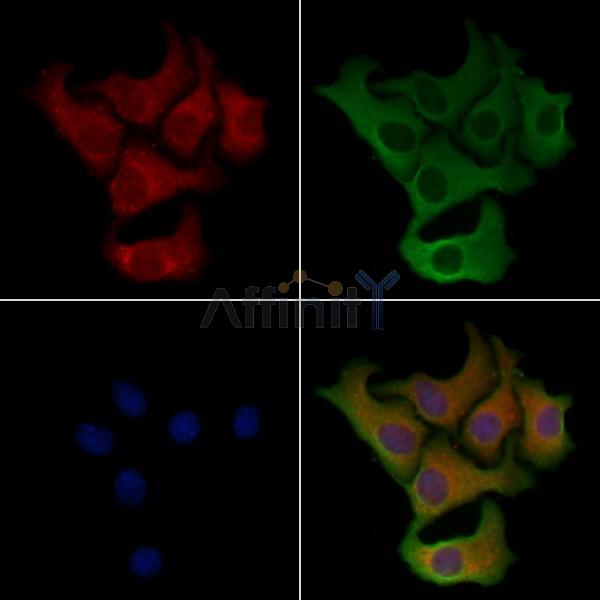 Валидация Affinity DF4279 - 15687