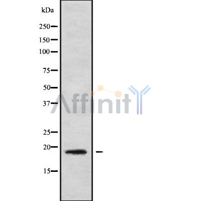 Валидация Affinity DF9106 - 21409