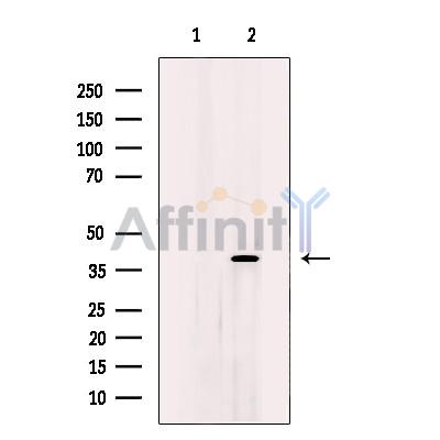 Валидация Affinity DF12213 - 6482