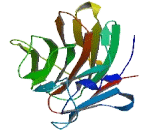 Butyrophilin Subfamily 2, Member A1 (BTN2A1) Butyrophilin Subfamily 2, Member A1 (BTN2A1)