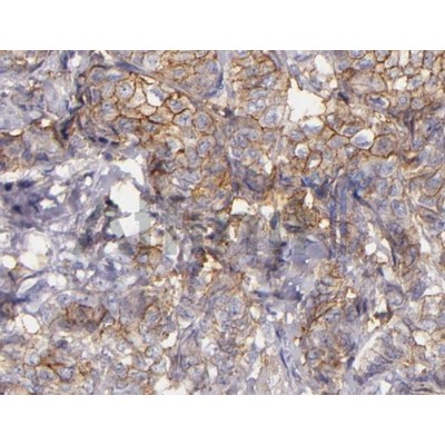 Валидация Affinity AF5139 - 2529