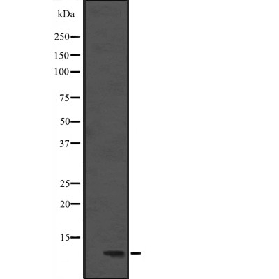 Валидация Affinity DF2630 - 13317