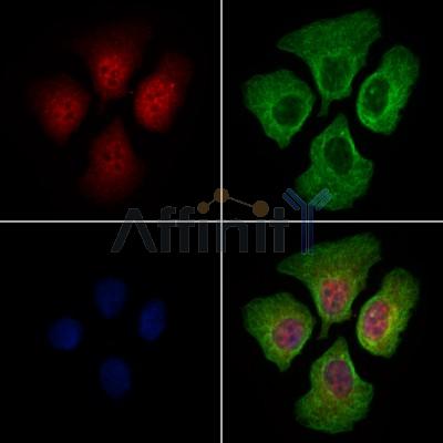 Валидация Affinity AF6003 - 3187