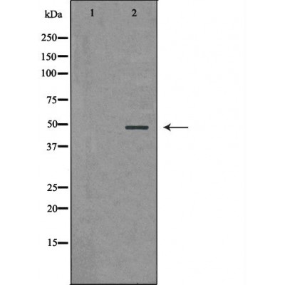 Валидация Affinity DF6445 - 17827
