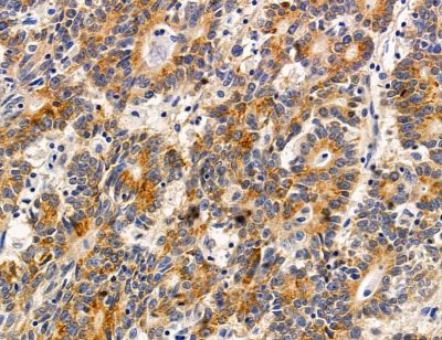 Валидация Affinity DF14787 - 10881