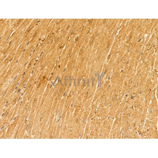 Валидация Affinity DF13169 - 8140