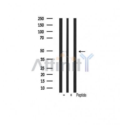 Валидация Affinity AF6016 - 3203