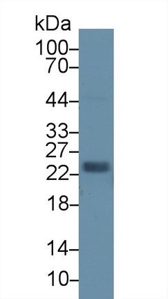 13712