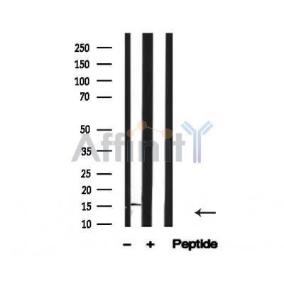 Валидация Affinity AF4666 - 2282