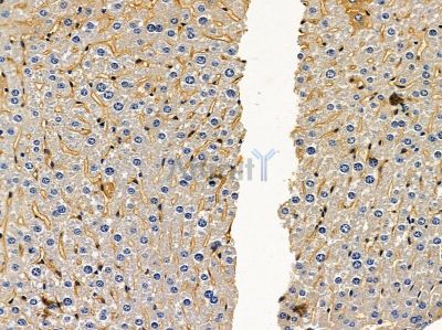 Валидация Affinity DF5150 - 17113