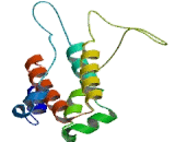 Interferon Alpha (IFNa) Interferon Alpha (IFNa)
