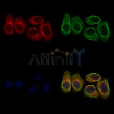 Валидация Affinity DF6826 - 18396