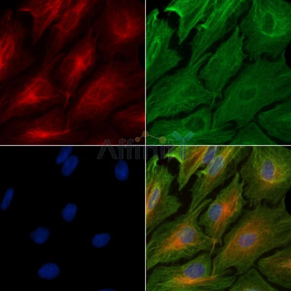 Валидация Affinity DF3739 - 14803