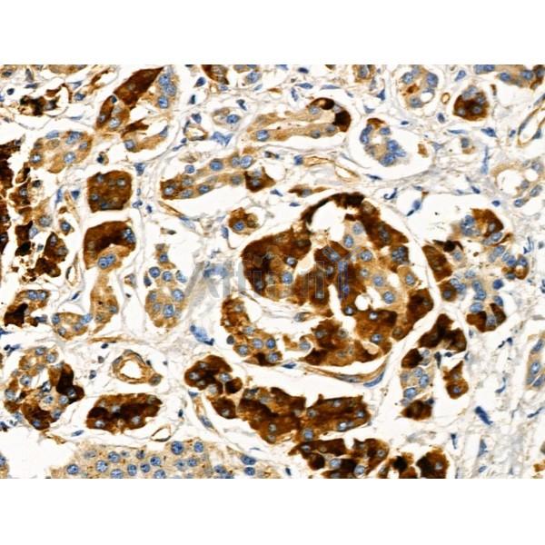 Валидация Affinity DF3971 - 15189