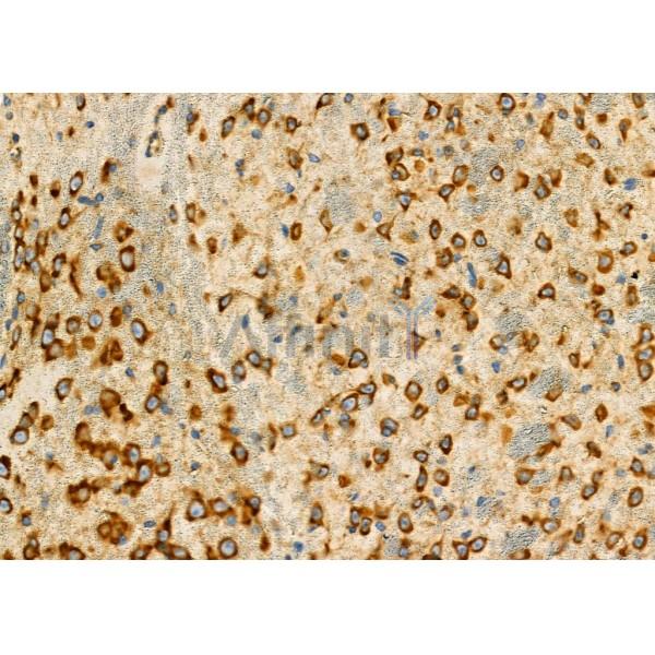 Валидация Affinity DF7284 - 18954