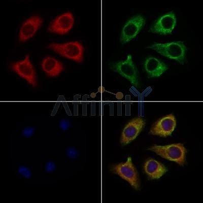 Валидация Affinity DF4162 - 15492