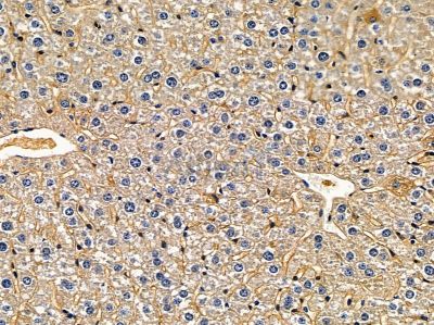 Валидация Affinity DF3665 - 14667