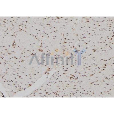 Валидация Affinity AF6277 - 3531