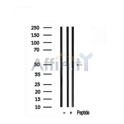 Валидация Affinity AF7674 - 4357