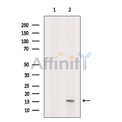Валидация Affinity DF10003 - 5439