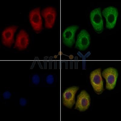 Валидация Affinity DF12661 - 7311