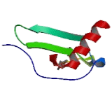 Epithelial Neutrophil Activating Peptide 78 (ENA78) Epithelial Neutrophil Activating Peptide 78 (ENA78)