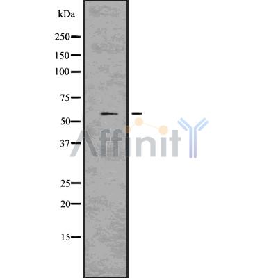 Валидация Affinity DF7575 - 19336
