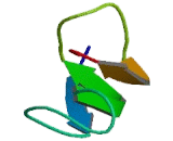 Pleiotrophin (PTN) Pleiotrophin (PTN)