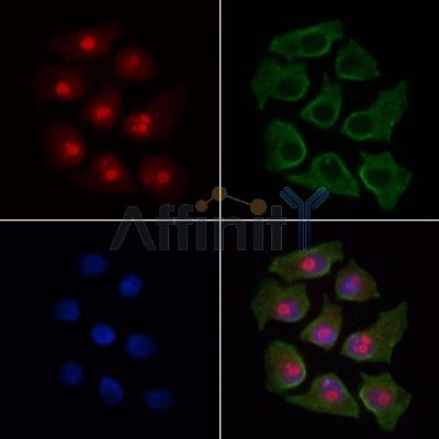 Валидация Affinity AF6217 - 3458